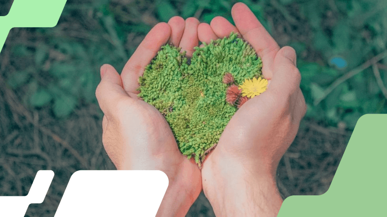 Imagem referente à notícia: Como a COP30 pode inspirar uma carreira em sustentabilidade – do estágio à liderança